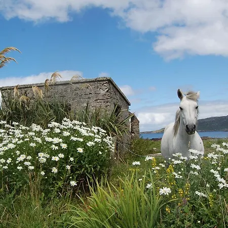 Holiday home Cranagh House, Kinvara. Loughcurra